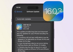 Apple chính thức phát hành iOS 16.0.3 khắc phục một số lỗi nghiêm trọng, cập nhật ngay!