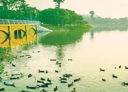 'Bí mật' của những người được thiên nhiên 'chữa lành' ở Ecopark