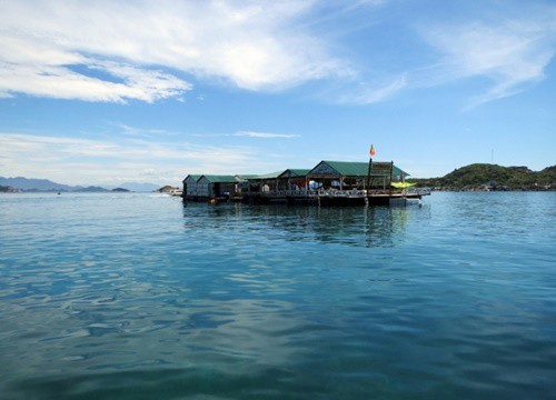 Du Xuân Ninh Chữ Vĩnh Hy ngắm san hô