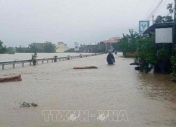 Mưa lớn ở Quảng Ngãi, cảnh báo lũ đang lên nhanh trên các sông