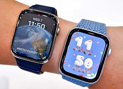 Nên mua Apple Watch Series 8 hay Apple Watch SE 2022?