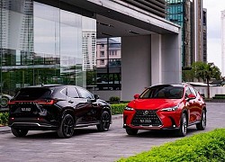 Triệu hồi Lexus NX350, xe nhập tư phải được &#8216;đồng ý mới miễn phí&#8217;