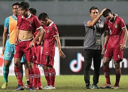 Ông Shin bận World Cup, PSSI tìm nhà cầm quân đá SEA Games