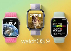 Ra mắt bản cập nhật watchOS 9.0.2 sửa lỗi micrô, gián đoạn Spotify, v.v.