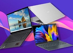 So sánh laptop HP và Asus: Hãng nào tốt hơn, nên mua loại nào?