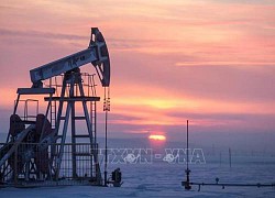 Tổng Thư ký OPEC bảo vệ quyết định cắt giảm sản lượng của OPEC+