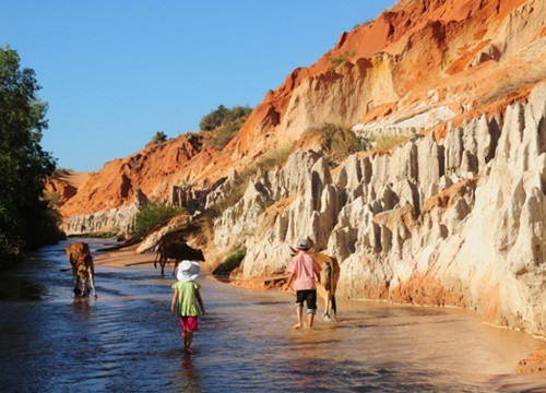 Trải nghiệm du lịch Mũi Né trong 1 ngày