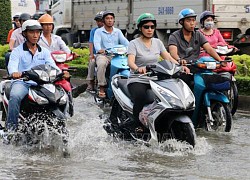 Triều cường, mực nước vùng hạ lưu sông Cửu Long có khả năng đạt đỉnh vào ngày 11 &#8211; 13/10