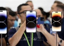 Tập đoàn Apple lại nhận thêm án phạt tại Brazil