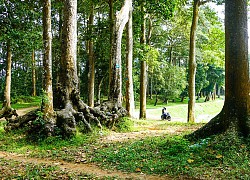 Ao Bà Om: Quần thể cây cổ thụ độc đáo giữa lòng TP Trà Vinh