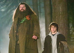 'Bác Hagrid' của Harry Potter qua đời