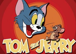 Cả tuổi thơ xem đi xem lại Tom và Jerry nhưng liệu bạn có biết về 5 sự thật thú vị về hoạt hình huyền thoại này