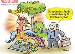 Chim thần qua lăng kính giàu - nghèo