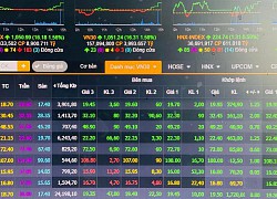 Cổ phiếu ngân hàng khởi sắc, VN-Index tăng 16,8 điểm