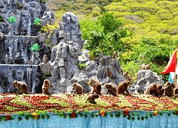 Gợi ý lịch trình du lịch Nha Trang 3 ngày 2 đêm