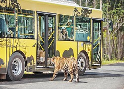 Kinh nghiệm vui chơi tại Vinwonders và Vinpearl Safari Phú Quốc mới nhất