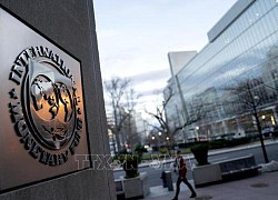 Những lưu ý của IMF về các biện pháp nhằm kiềm chế 'bão giá'