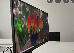 Philips ra mắt màn hình mới cho văn phòng với tích hợp webcam, đế cắm USB Type-C