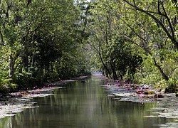 Say đắm tiết Thu ở danh thắng đẹp như &#8220;châu Âu&#8221; giữa lòng xứ Thanh