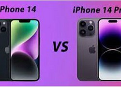 So sánh iPhone 14 và 14 Pro: Đắt hơn liệu có tốt hơn?