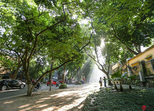 Thu Hà Nội trong veo, đẹp mê hồn qua những tia nắng