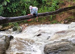 Thót tim, quặn lòng cảnh cô giáo vùng cao Quảng Nam bám thân cây vượt suối