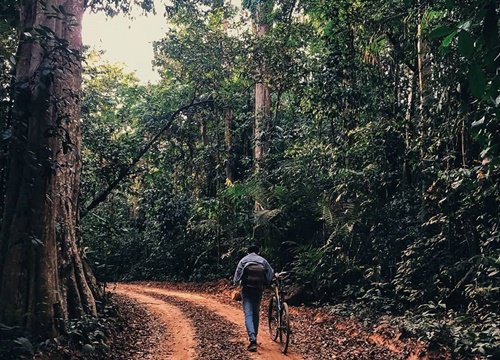 10 điểm du lịch gần Sài Gòn 2 ngày 1 đêm siêu vui, siêu đẹp