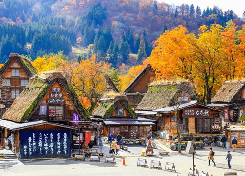 5 hoạt động lý thú ở làng cổ tích Shirakawa-go