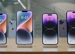 Apple thừa nhận lỗi 'không hỗ trợ SIM' có thể làm dòng iPhone 14 bị treo hoàn toàn