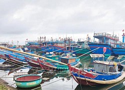 Các tỉnh, thành phố từ Quảng Ninh đến Bình Định chủ động ứng phó với bão