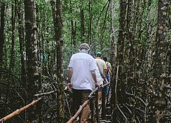 Đi vỏ lãi 'xuyên' VQG Mũi Cà Mau, ngắm hoàng hôn Bãi Bồi