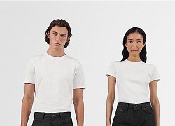 Helmut Lang và UNIQLO tái kết hợp cho phong cách Jean cổ điển