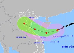 Miền Bắc chuyển rét từ mai, bão số 6 có khả năng tan trên biển