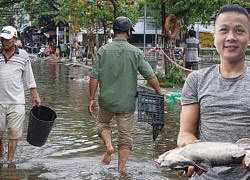 Người dân Đà Nẵng rủ nhau bắt cá trên đường phố sau mưa