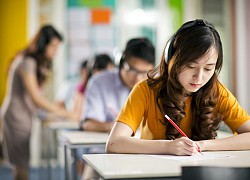 "Thần thánh hóa" IELTS, chạy đua học tiếng Anh theo kiểu "luyện gà"