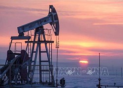 Tổng thư ký OPEC: Thị trường dầu mỏ trải qua giai đoạn biến động mạnh