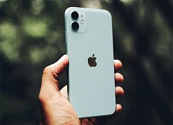 Top 5 mẫu iPhone đáng cân nhắc giá dưới 11 triệu đồng