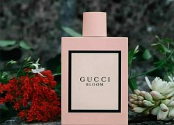 Nước hoa Gucci Bloom mùi nào thơm nhất? Giá bao nhiêu?