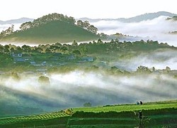 Khám phá cao nguyên Di Linh Đà Lạt (thắng cảnh Lâm Đồng)