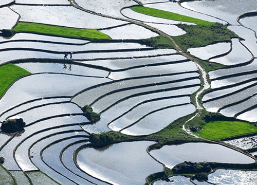 Khám phá ruộng bậc thang Sapa