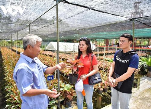 Làng hoa Sa Đéc chuẩn bị cho mùa du lịch 'bội thu'