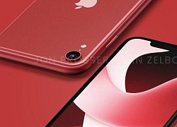 Mẫu iPhone giá rẻ tiếp theo của Apple lại lộ thông tin hấp dẫn