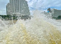 Ngược dòng thời gian để yêu... Chao Phraya