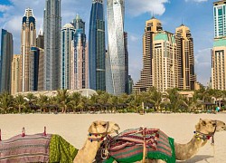 11 điều ngỡ ngàng lần đầu du lịch UAE