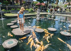 Cung điện nước Tirta Gangga- Thiên đường cá Koi ở đảo Bali