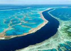 Đây là thời điểm thích hợp để thăm quan rạn san hô Great Barrier!