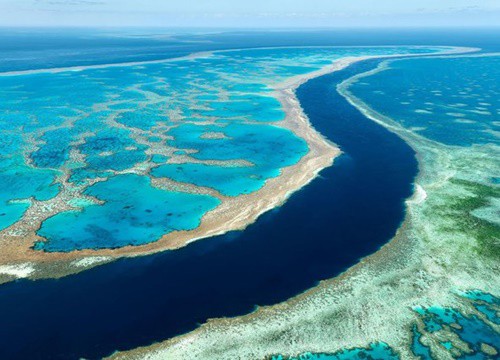 Đây là thời điểm thích hợp để thăm quan rạn san hô Great Barrier!