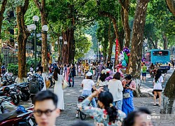 Hà Nội: Người dân ùn ùn check in trên phố Phan Đình Phùng