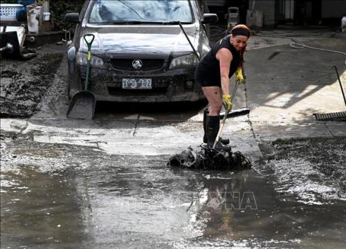 Khu vực miền Đông Australia trong tình trạng báo động cao do lũ lụt