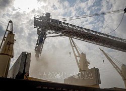 LHQ: Việc gia hạn thỏa thuận xuất khẩu ngũ cốc qua Biển Đen là cấp thiết